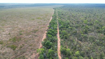 Lideranças Indígenas Apinajés exigem que o Banco Mundial interrompa empréstimo a agronegócio com acusações de desmatamento na Amazônia e no Cerrado